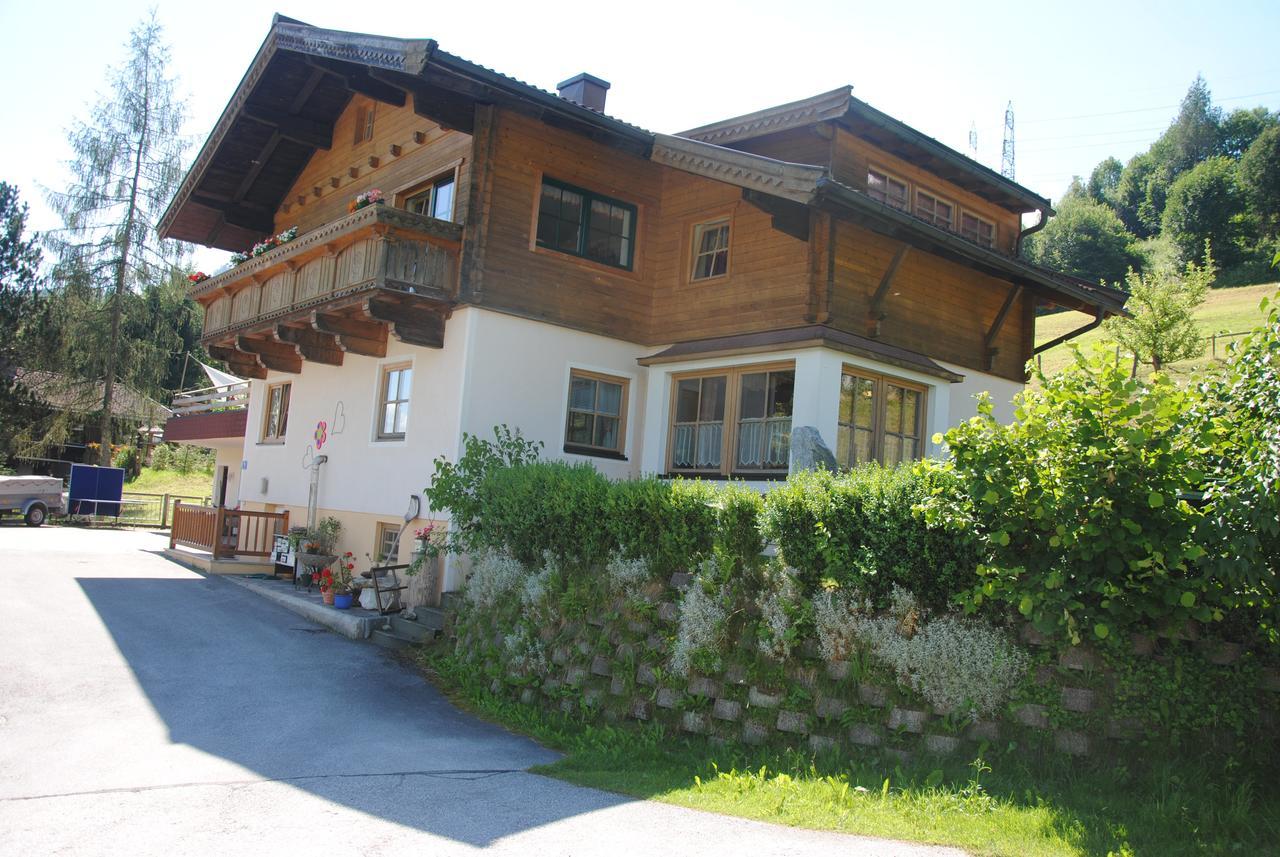 "Opa Sepp" - Gartenwohnung Niedernsill Exterior foto